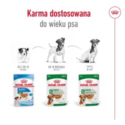 Royal Canin Mini Aging - Vdfoder Til Hunde - 12 X 85G