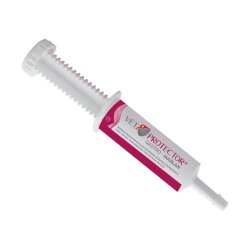 Jm Sante Vet Protector Gastro Butyrate - Kosttilskud Til Hund Og Kat - 60Ml