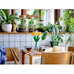 Lego 40747 Pskikkelier