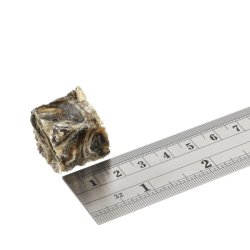 FISH4DOGS Dental Sea Jerky Fish Tiddlers - godbid til hund - 575g