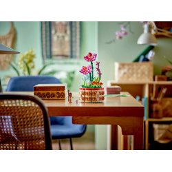 Lego Disney 43252 Moanas Urtepotte