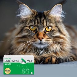 Jm Sante Multiway Vet Duocaps - Twist-Off Kapsler Til Pels Og Hud Til Hunde Og Katte  60 Stk