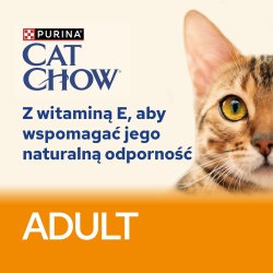 PURINA Cat Chow Chicken, Zucchini - vdfoder til katte - 10x85 g