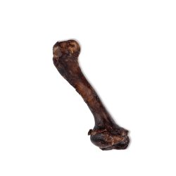 Uniszki Deer Bone Medium - Godbid Til Hunde - 1 Stk