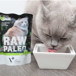 RAW PALEO Voksen Kattevildt - vdt kattefoder - 100 g