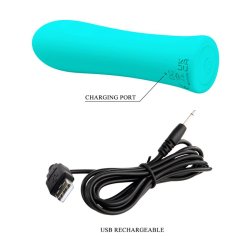 Alfreda Vibrating Bullet USB