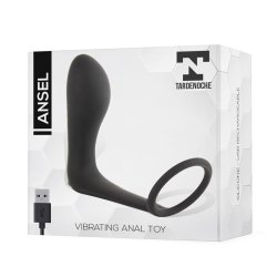 Ansel Anal Plug with Vibration and Cock Ring USB Silicone
