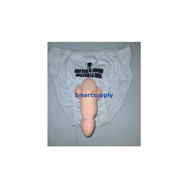 Big Penis Musical Brief