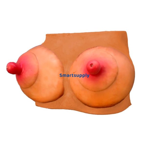 breast-shaped piggy bank