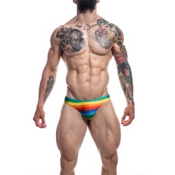 C4M01 Low Rise Bikini Brief Rainbow - S