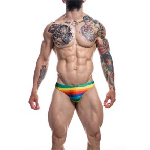C4M01 Low Rise Bikini Brief Rainbow - S