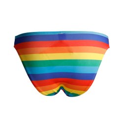 C4M01 Low Rise Bikini Brief Rainbow - S