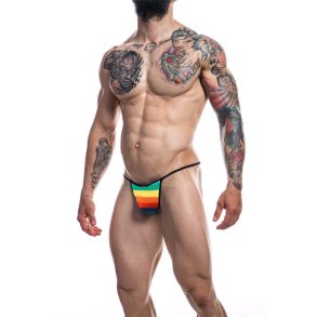 C4M12 Briefkini Rainbow - S