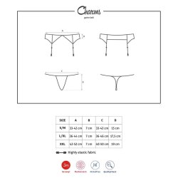 Charms Garter Belt and Thong - S/M