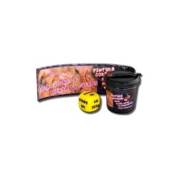 Chocolate Paint + Brush and Dice Postures