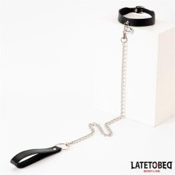 Collar with Bell and Leash