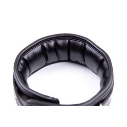 Collar with Metal Leash and Pedded Interior Black