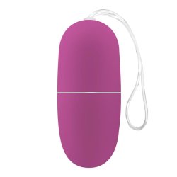 Ecopurple Vibrating Egg with Remote Control