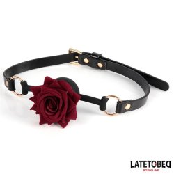 Gold Metal rose gag Ball