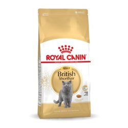 Royal Canin Fbn British Shorthair Voksen Trfoder Til Katte - 10 Kg