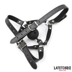 Head Harness with Ball Gag and Nose Hook