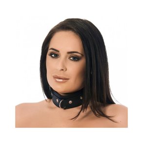 Leather Collar with Studs and D-Ring - M/L