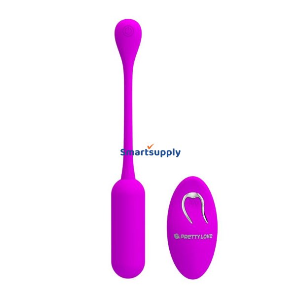 Lechies Vibrating Egg with Remote Control USB