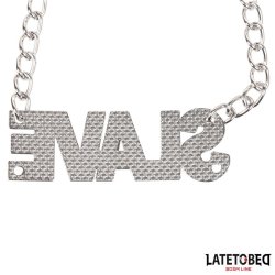 Nipple Clamps with Slave