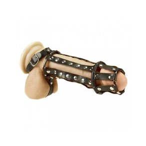 Penis and Ball Harness - M/L
