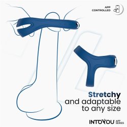 Rank Vibrating Ring with App Blue