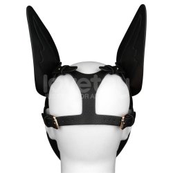 Rebellion Reign Scarred Alpha Pup Mask Blue