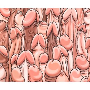 Rectangular Penis PC mat 22 x 18 cm