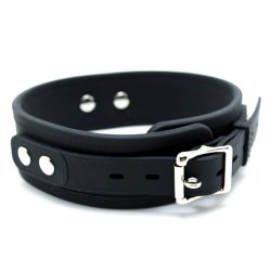 Collar with Leash Silicone