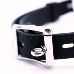 Mouthgag with Penis Silicone