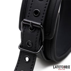 Set Collar and Leash Neoprene Black