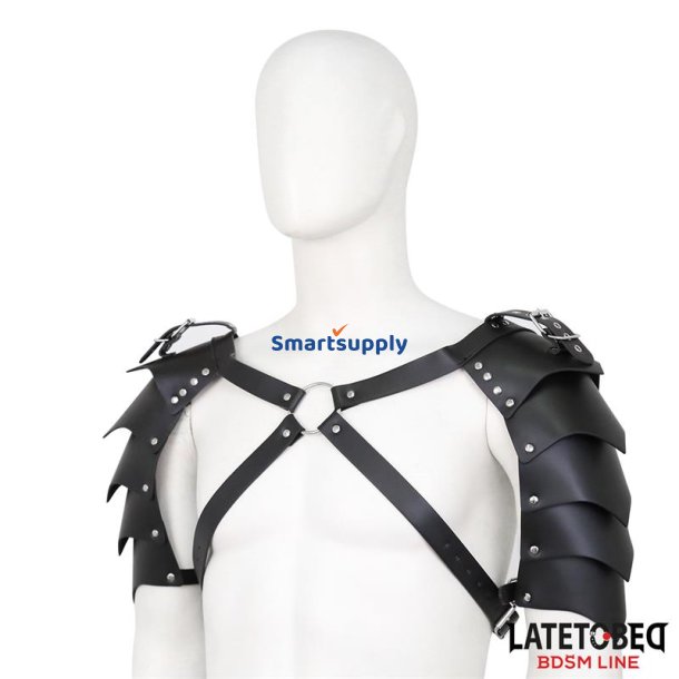 Shoulder Harness Adjustable
