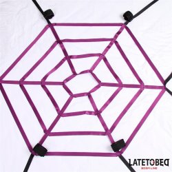 Spider Web Bed Bondage