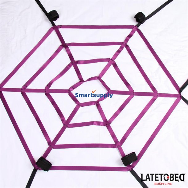 Spider Web Bed Bondage