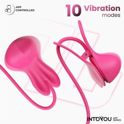 Tickly Nipple Clamps ith Vibration, Remote and Necklace with App