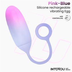 Vibrating Egg Double Layer Silicone with APP Pink/Blue