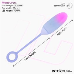 Vibrating Egg Double Layer Silicone with APP Pink/Blue